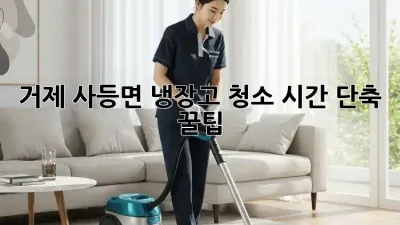거제 사등면 냉장고 청소, 시간 단축 꿀팁!