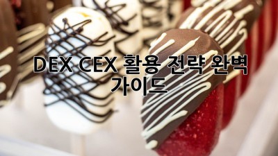 DEX CEX 활용 전략 완벽 가이드