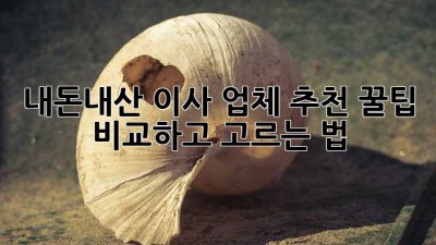 내돈내산 이사 업체 추천 꿀팁🍯 비교하고 고르는 법