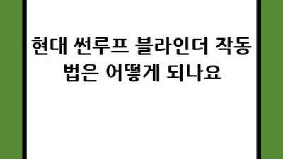 현대차 썬루프 블라인더 완벽 가이드
